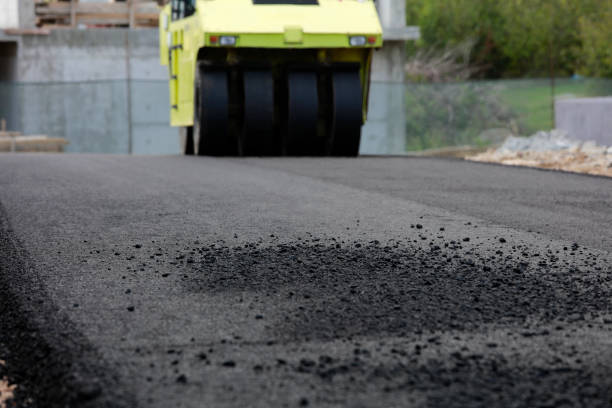 Best Driveway Pavers Near Me  in Pine Level, AL